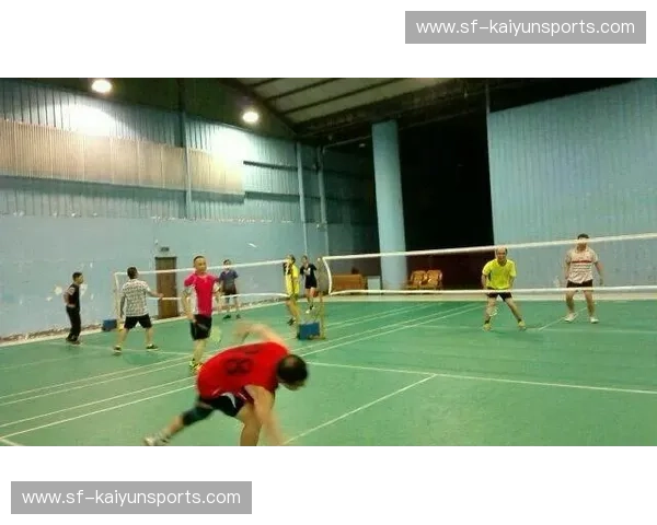 羽毛球精华集锦：从场馆到你们的每一次击球